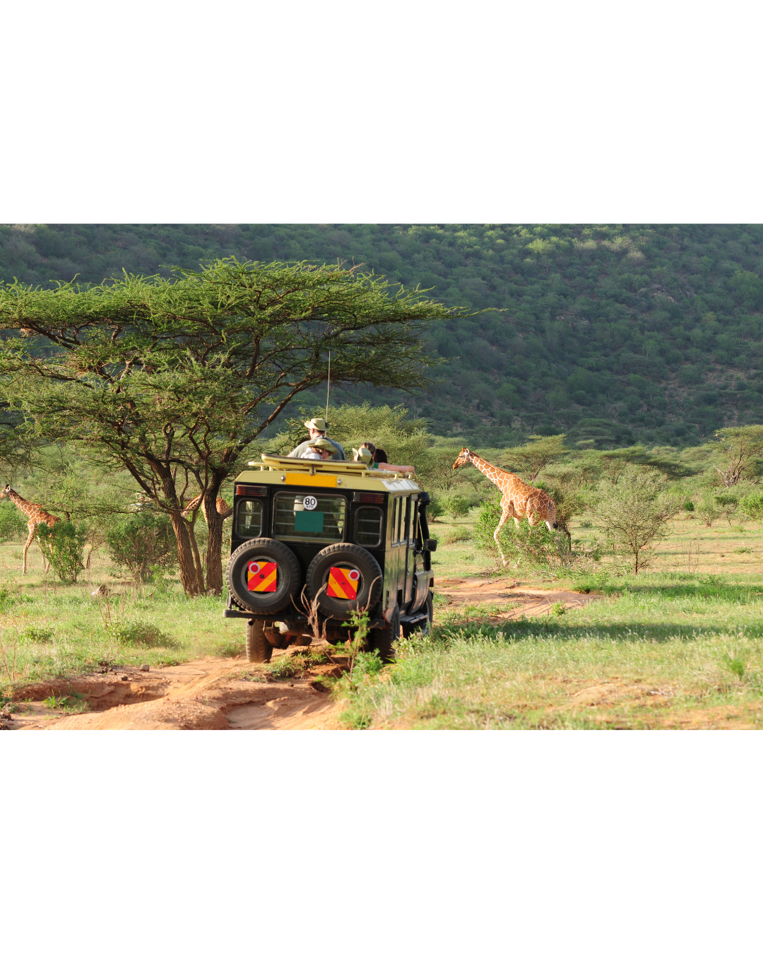 Luxury Safaris